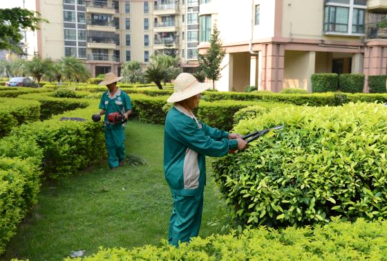 園林綠化及養(yǎng)護(hù)